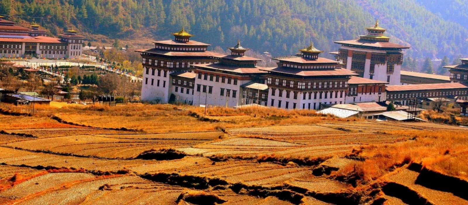 tour package of bhutan